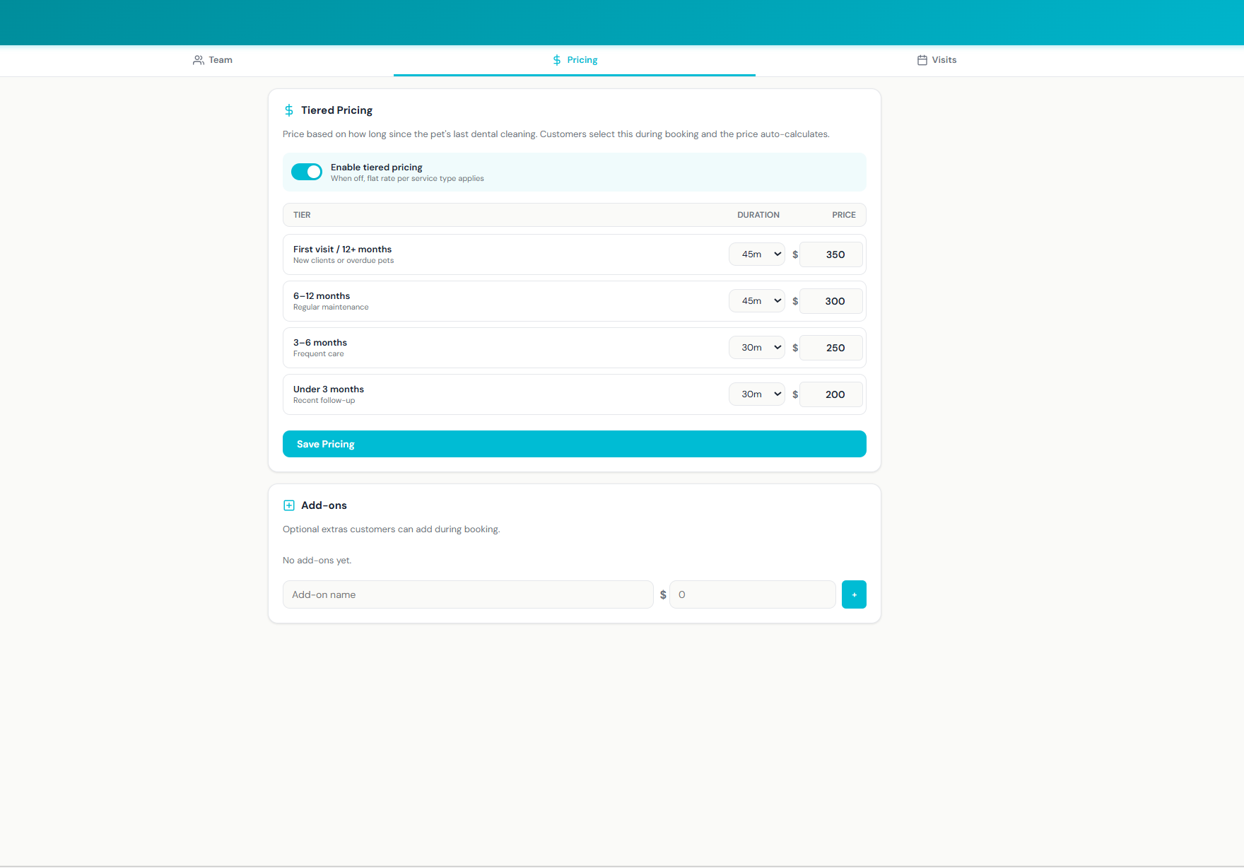 Dental Hub Pricing tab with the Tiered Pricing toggle enabled and a four-row table — First visit/12+ months at 45 min $350, 6-12 months at 45 min $300, 3-6 months at 30 min $250, Under 3 months at 30 min $200 — plus an Add-ons section underneath